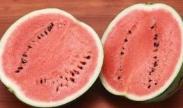 晴掌柜吃瓜记,一场别开生面的吃瓜盛宴