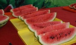 刘大瓜吃骨髓,一场味蕾与健康的完美邂逅