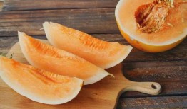 吃蜜瓜能吃猴耳环吗,探索夏日美食的奇妙搭配