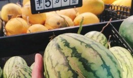 jinger 吃瓜,娱乐圈背后的那些事儿