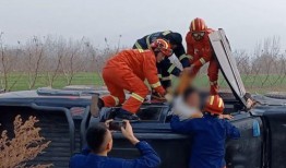 西瓜翻车司机吃瓜,一场网络狂欢背后的反思