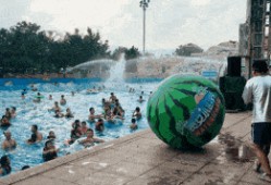 什么叫冲浪吃瓜,揭秘网络热点背后的真相与趣味