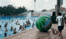 什么叫冲浪吃瓜,揭秘网络热点背后的真相与趣味