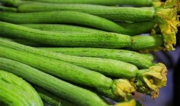 什么瓜加皮子吃,探寻传统美食中的皮子与瓜的完美融合