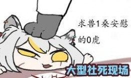 学猫叫吃瓜,揭秘网络热词背后的趣味与现象