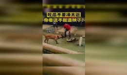 吃瓜不要凑太近,吃瓜有度——警惕过度凑热闹