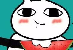 吃瓜表情包2025,趣味横生的网络文化现象解析