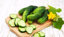 河南禹州吃瓜,探寻河南禹州特色美食之旅