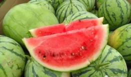 甜宠吃瓜,揭秘娱乐圈甜蜜宠粉背后的故事