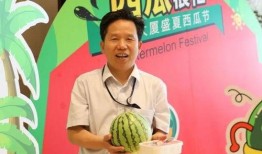 偃师吃瓜运营团队,揭秘网络红人的幕后故事