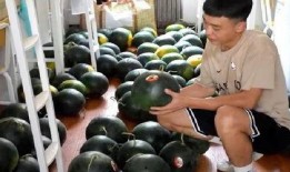 宿舍晚上吃瓜,瓜香四溢的欢乐时光