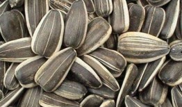 吃瓜葵花籽,葵花籽香飘四溢