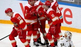 冰球比赛吃瓜,一场比赛背后的趣味瞬间