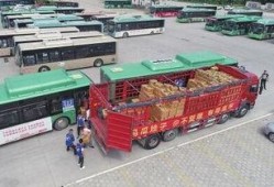 公交站吃瓜少女,吃瓜少女的奇妙冒险