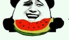 吃瓜群众学习繁忙,在繁忙学习中轻松掌握知识