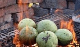 各个国家吃瓜,风味独特的国民美食探索