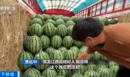 小品吃瓜,揭秘娱乐圈背后的那些事儿