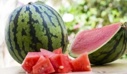 吃我想吃的瓜,揭秘我最爱的那些美味瓜果