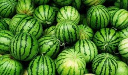 看视频水印吃瓜,看瓜群众如何轻松识别热门视频来源