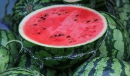 晴掌柜吃瓜记,一场别开生面的吃瓜盛宴