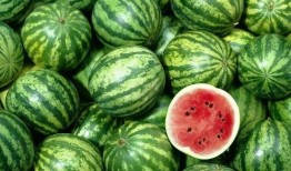 背诵吃西瓜的瓜,回味吃西瓜的瓜香时光