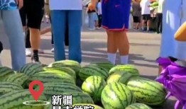 瓜地吃瓜学校,揭秘瓜地吃瓜学校的独特魅力