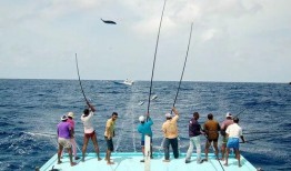 钓鱼直播吃瓜视频,揭秘钓鱼直播背后的趣味与争议