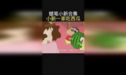 小新吃瓜社,揭秘娱乐圈那些不为人知的幕后故事
