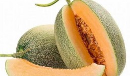 哈密瓜什么季节吃的,哈密瓜的季节美味之旅