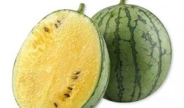 板凳吃瓜看戏,闲话人生百态