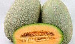 湖南吃哈密瓜视频,舌尖上的甜蜜之旅