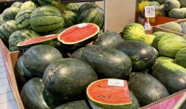 温州飞成都吃瓜,一场跨越千里的吃瓜之旅