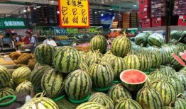 温州飞成都吃瓜,一场跨越千里的吃瓜之旅