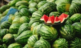 瓜吃西瓜的瓜怎么写,探寻“瓜吃西瓜”的趣味奥秘