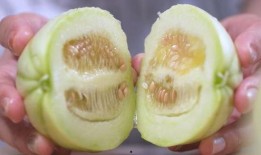 什么瓜加皮子吃,探寻传统美食中的皮子与瓜的完美融合