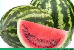 痛风可以吃方瓜吗,方瓜成为饮食新选择