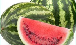 痛风可以吃方瓜吗,方瓜成为饮食新选择