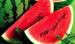 瓜吃西瓜的瓜怎么写,探寻“瓜吃西瓜”的趣味奥秘