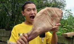 吃瓜和刘,刘生事件背后的真相揭秘