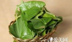 红瓜叶怎么吃,家常美味新尝试