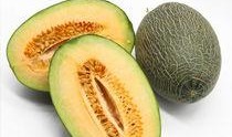 哈密瓜什么季节吃的,哈密瓜的季节美味之旅