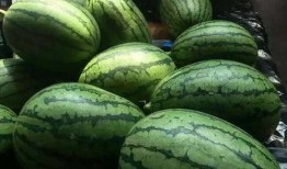 jinger 吃瓜,娱乐圈背后的那些事儿