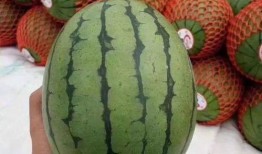 吃瓜后困,揭秘瓜果带来的奇妙睡眠效应