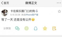 吃瓜爆料资本,一场娱乐与利益的博弈