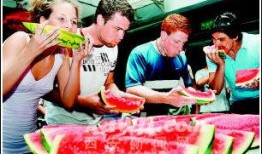 老外免费吃瓜视频,一场视觉盛宴的狂欢