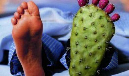 痛风可以吃方瓜吗,方瓜成为饮食新选择