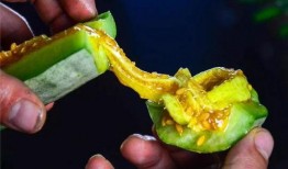 羊角蜜瓜吃皮,营养美味的新食尚探索