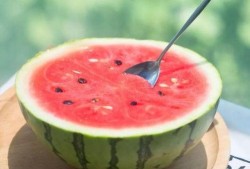 吃西瓜吃瓜种好吗,吃瓜乐趣与种植收获的双重体验