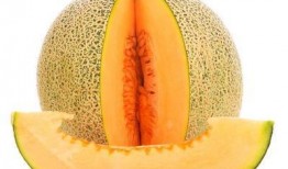 化疗可吃哈密瓜,哈密瓜助力营养补充与身体恢复