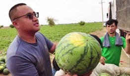 吃瓜瘦人,揭秘瓜果蔬菜中的减肥奥秘